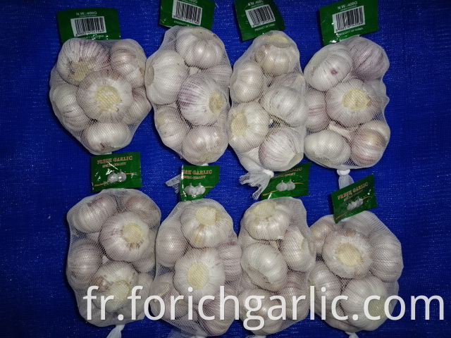 Export Standard New Garlic